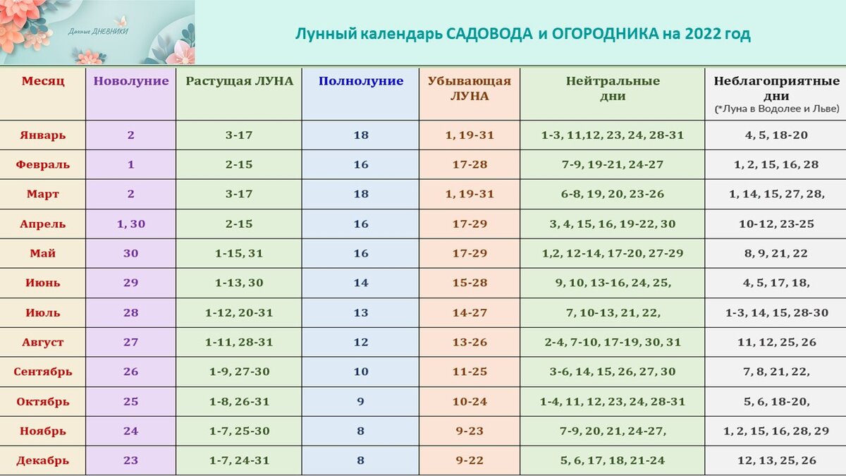 Зона отдыха на даче: правила оформления и 6 идей по обустройству (74 фото)