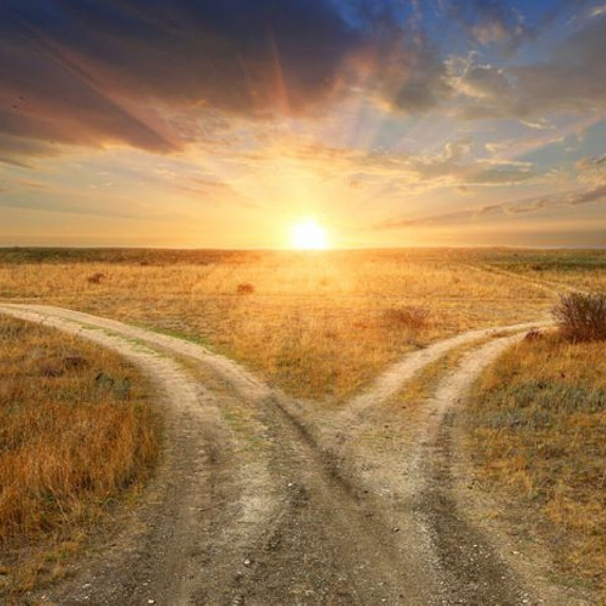 Архив работ Инги Хосроевой, канал автора https://www.youtube.com/channel/UC5cIsAXmIDlxNP0MNDJFYmA