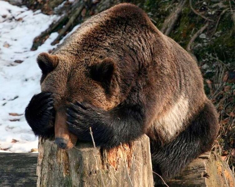 Фото из открытых источников