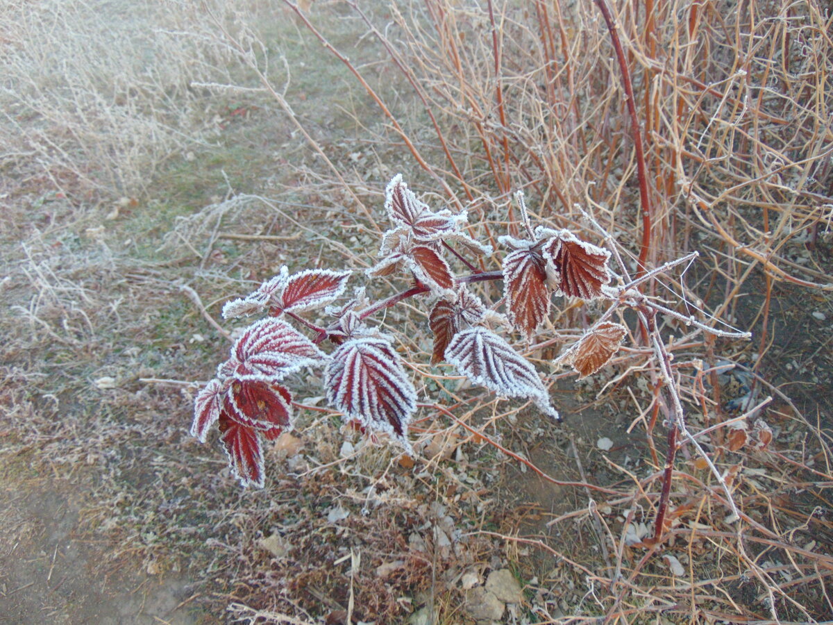 фото автора канала