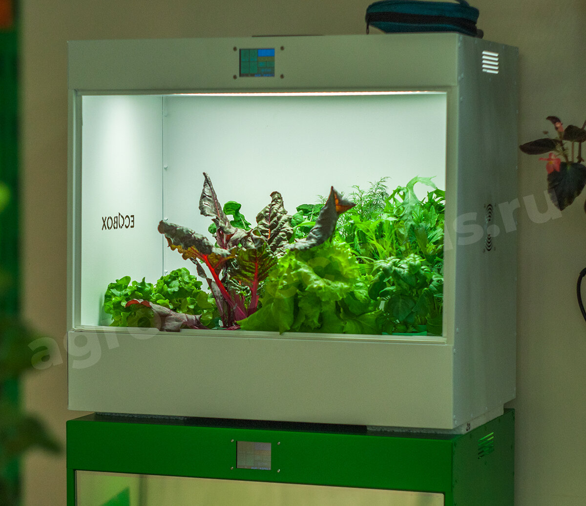 Новый светильник