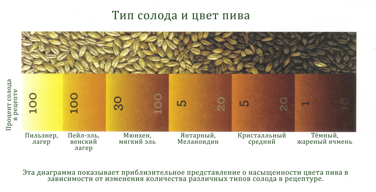 Цвет пива зависит от солода, на основании которого оно сварено. Чем темнее солод, тем темнее пиво. 