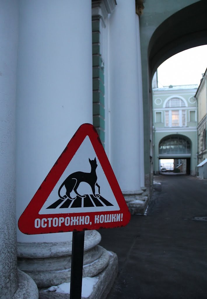 Санкт-Петербургские коты в истории города - авторские экскурсии с индивидуальным гидом