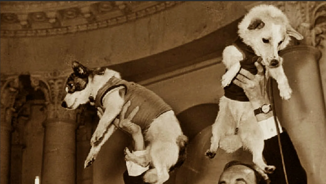 Белка и Стрелка