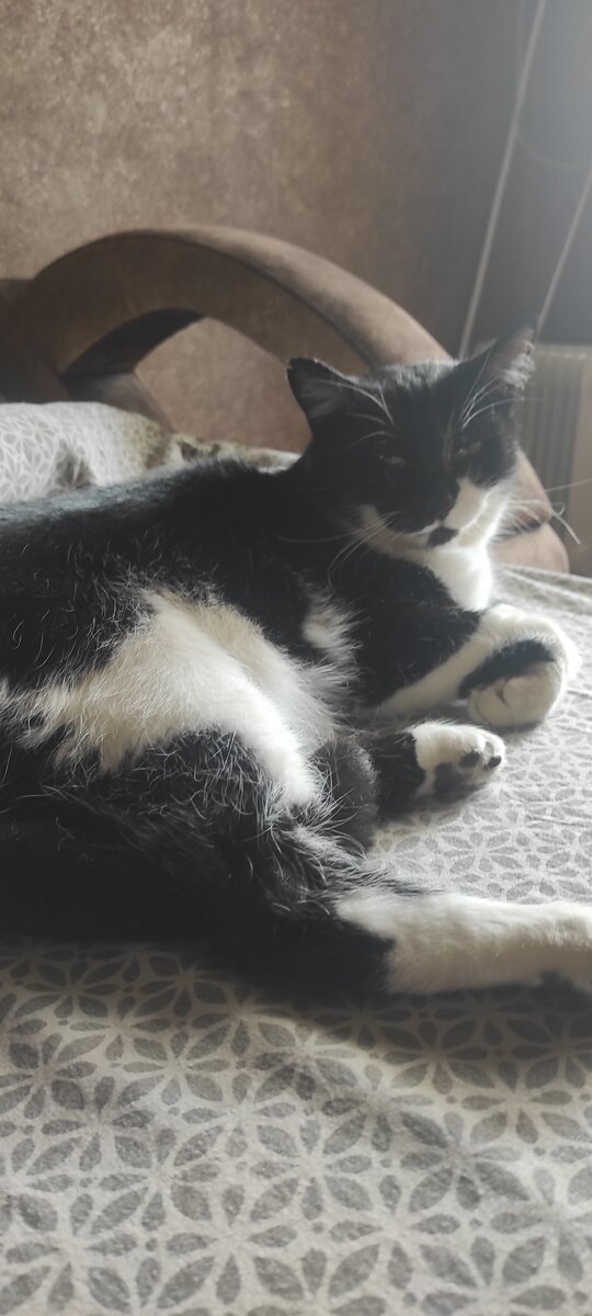 Чистый и душистый