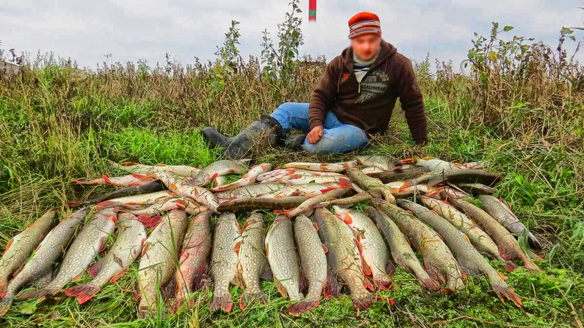 Какая рыба ловится на должанской косе