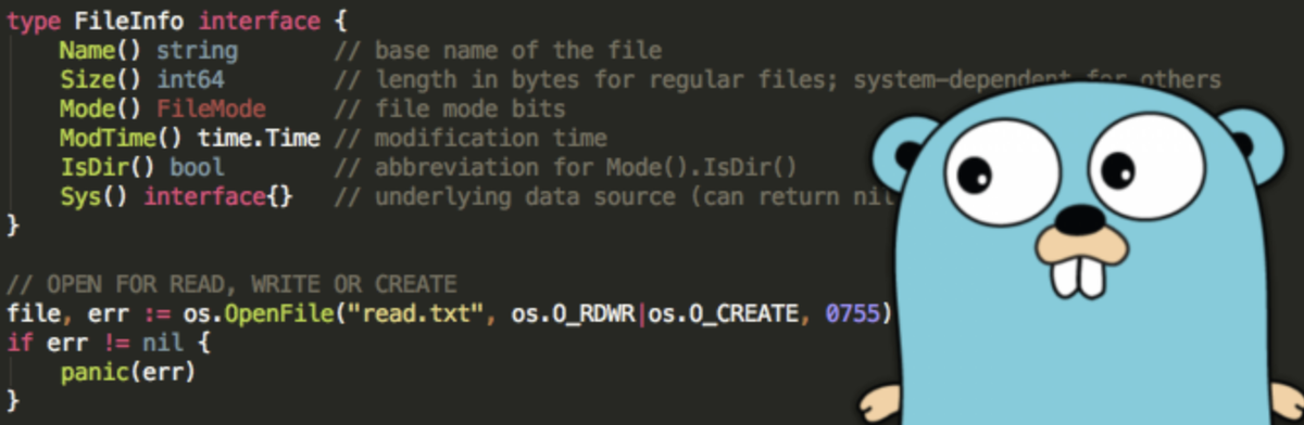 Go open file. Go язык программирования. Golang шпаргалка. Golang язык программирования. Golang пример кода.