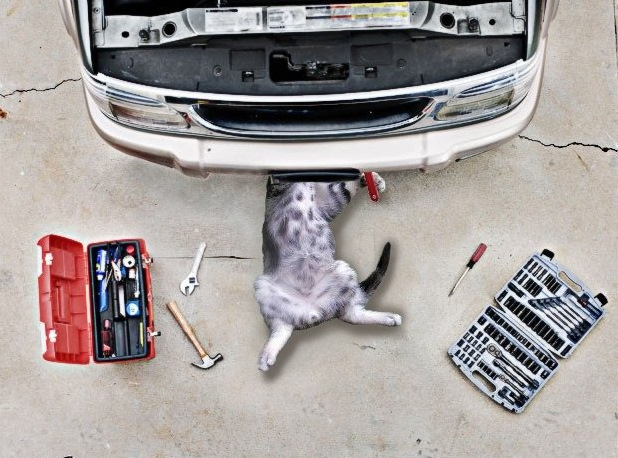 Кот механик. Кот чинит машину. Кот ремонтирует авто. Кот автомеханик. Кот чинит машину с ключом.