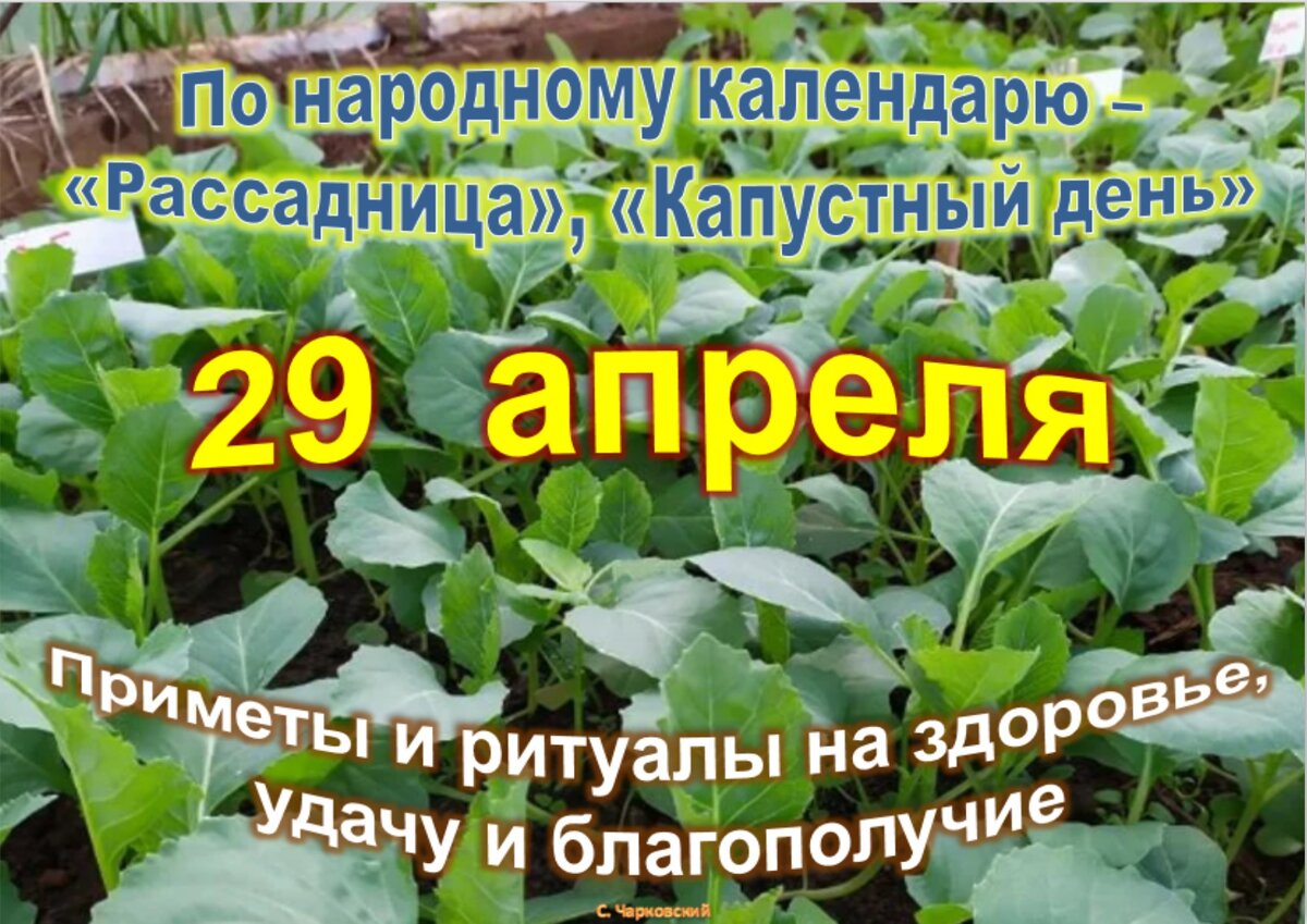 Встречаем новый день