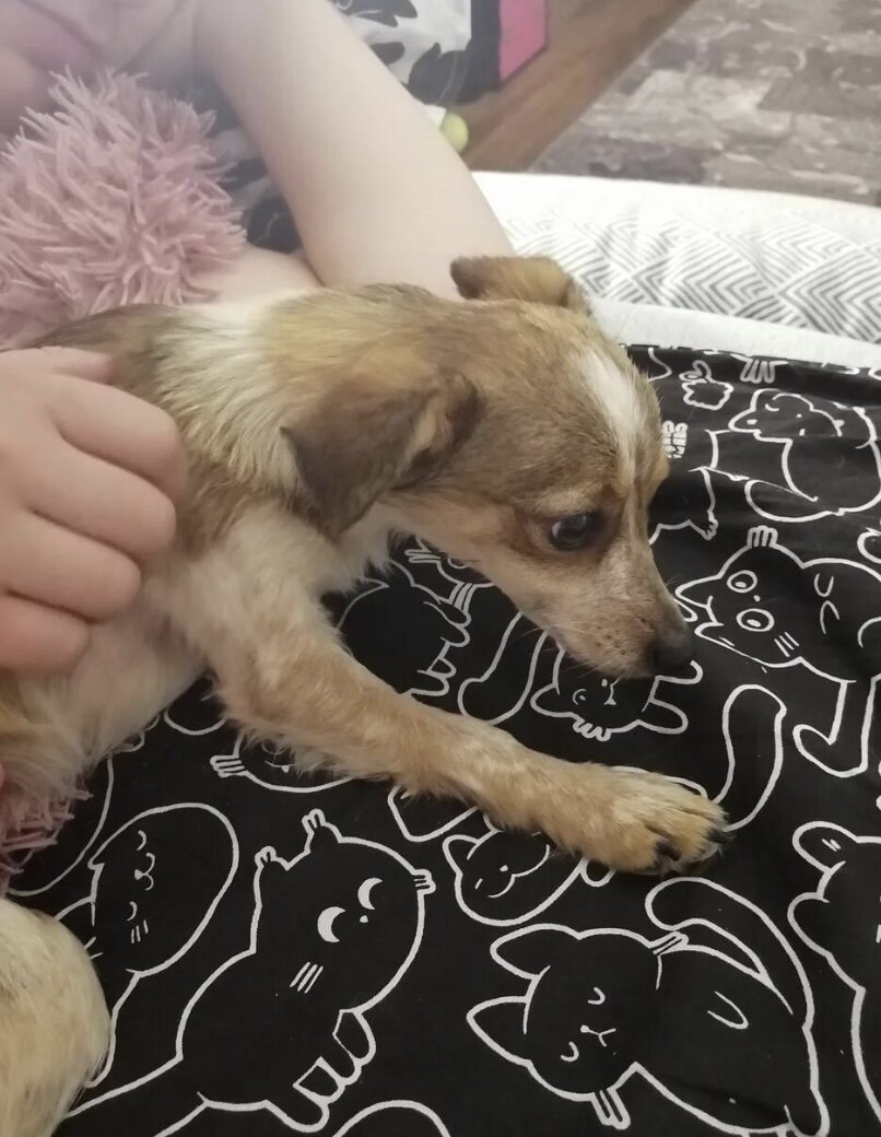 Тут нам очень страшно ещё. Первый день