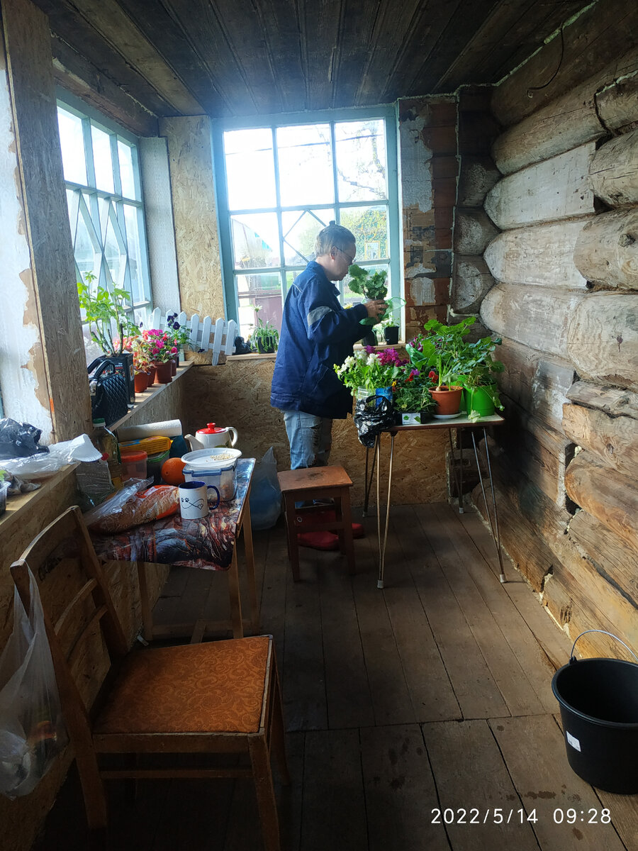 Алёна колдует над рассадой на веранде)