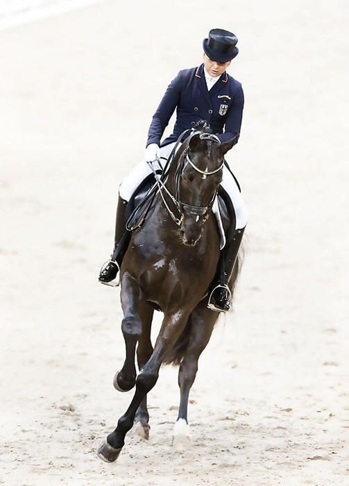 Лошадь на дыбах с наездником. Картинки лошадей. Лошадь на дыбах с человеком. Почему лошадь. Почему на коне.