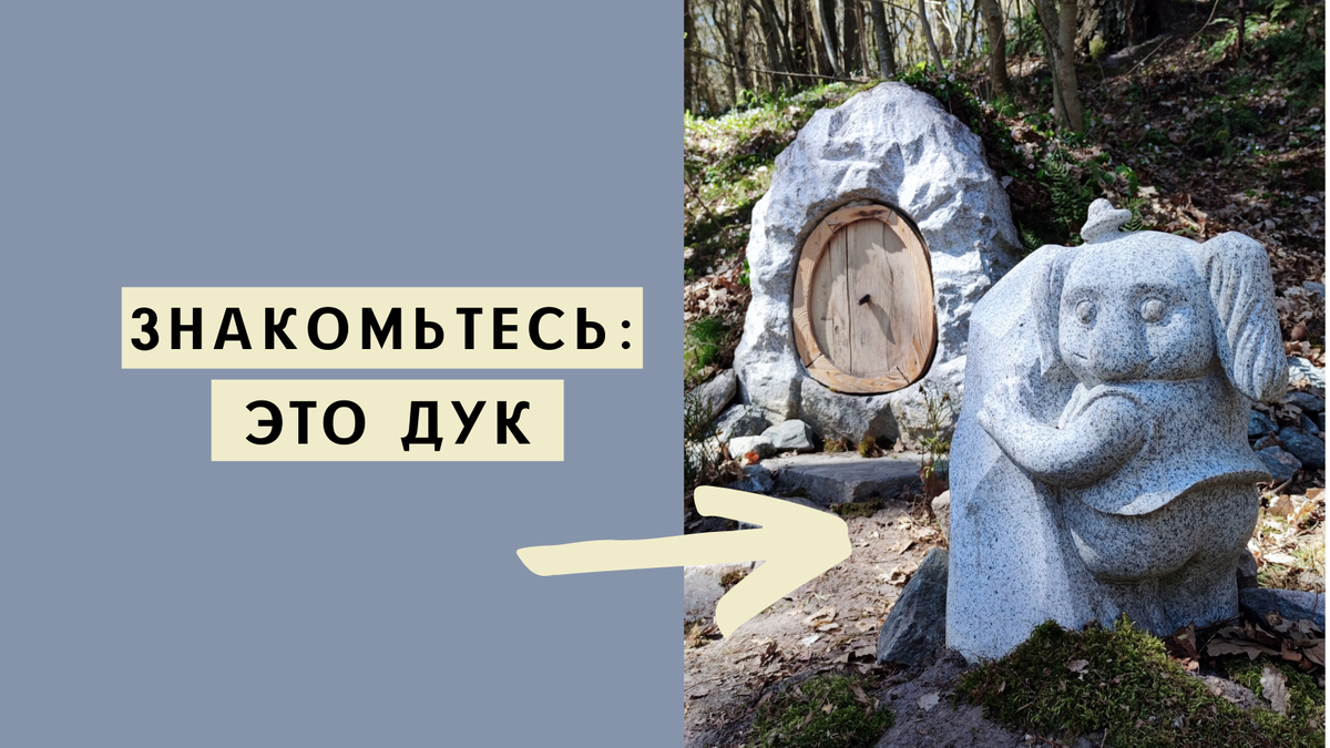 Дук из парка в Отрадном и его хижина