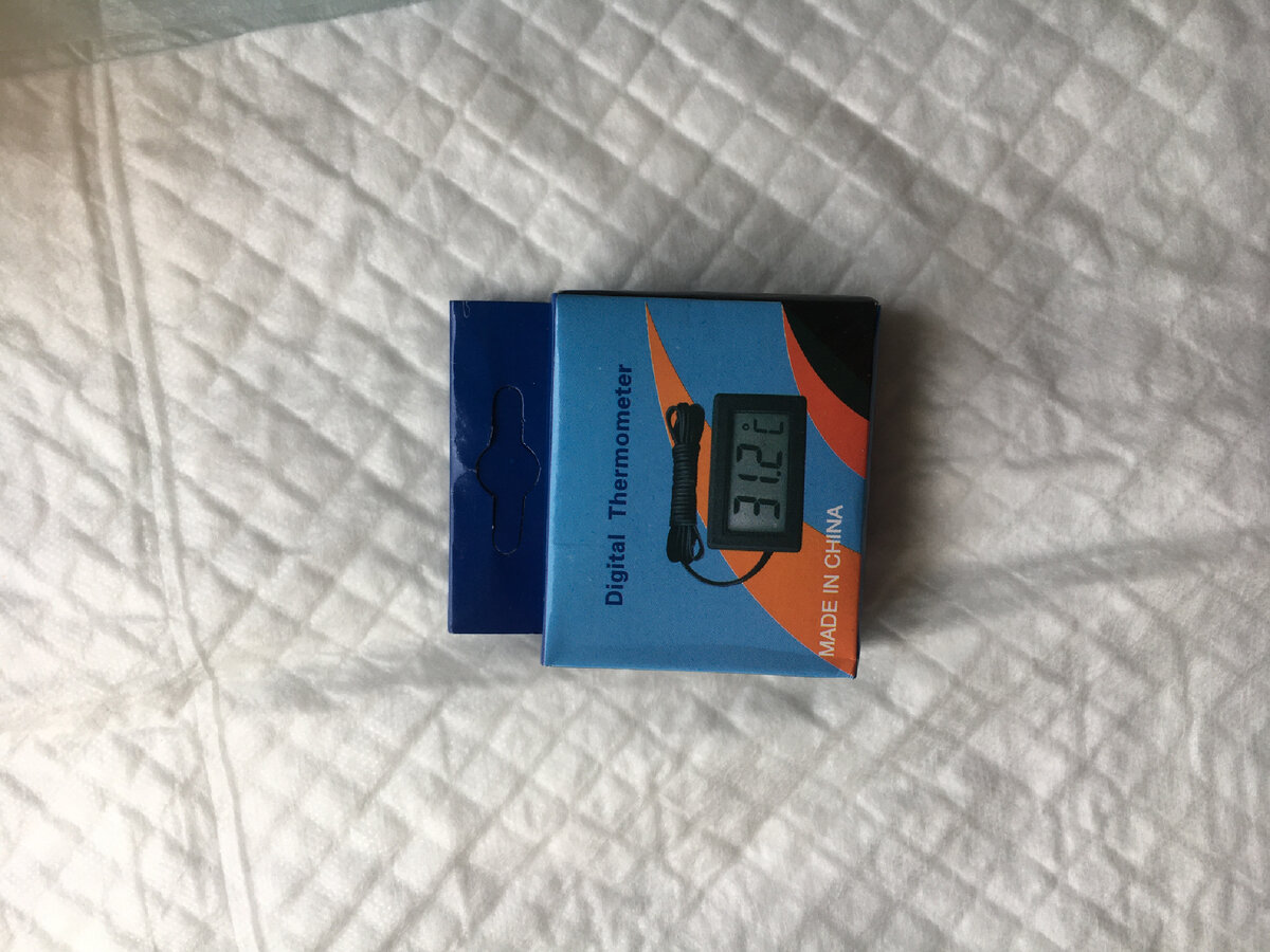 Фото из интернета 