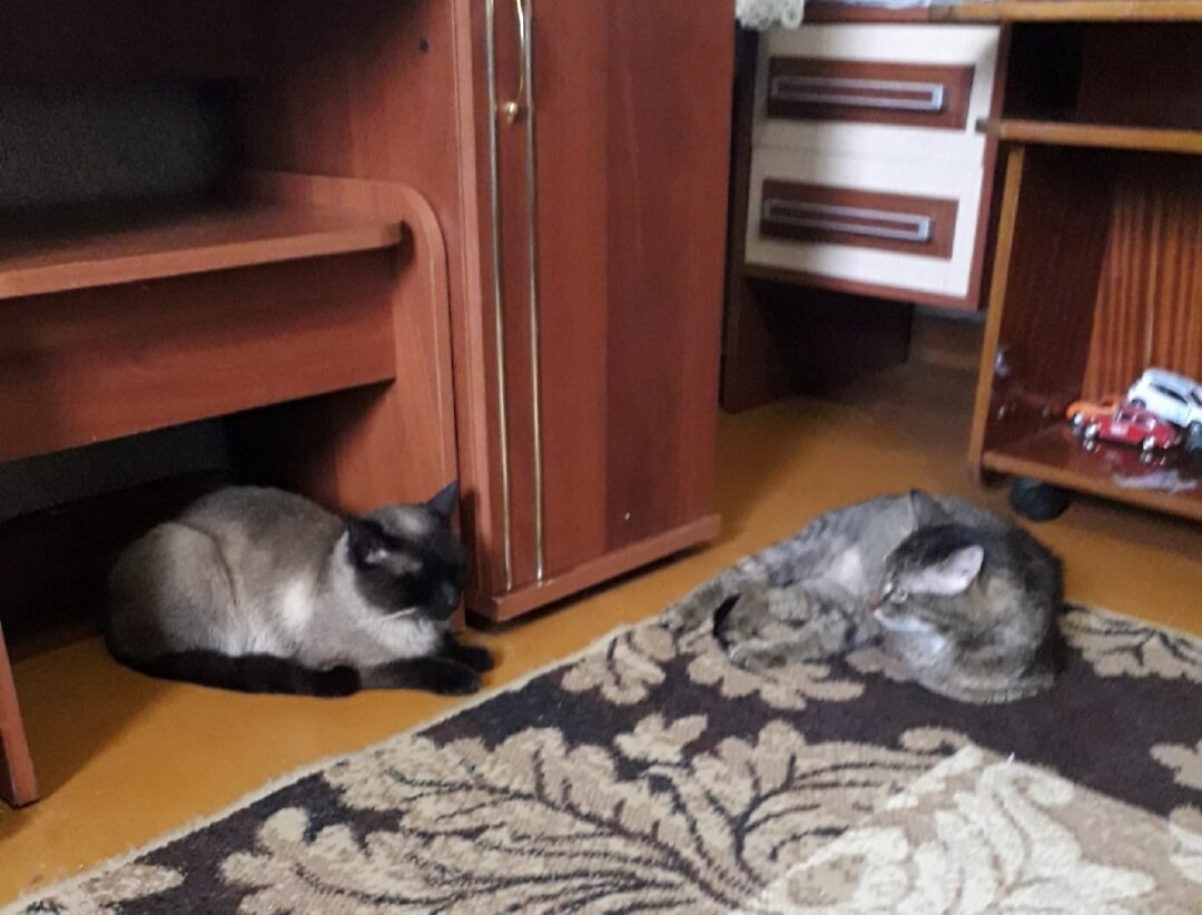 И  ничего,  что    приходится осваиваться  на  новом  месте.