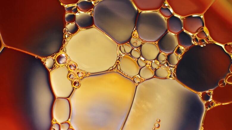 Фото: pexels.com