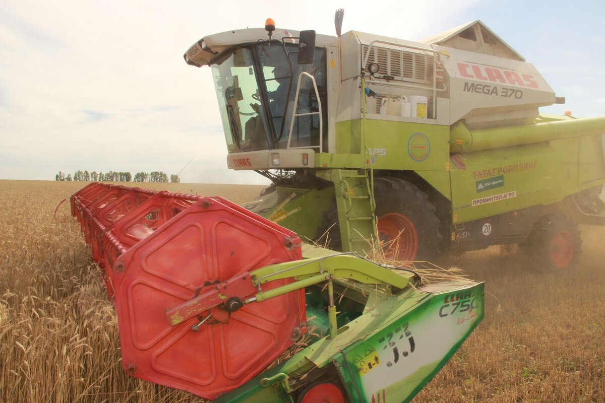 Про эту революцию Шахназаров расскажет, как крестьяне в стране исчезли. Фото Яндекс.Картинки. 