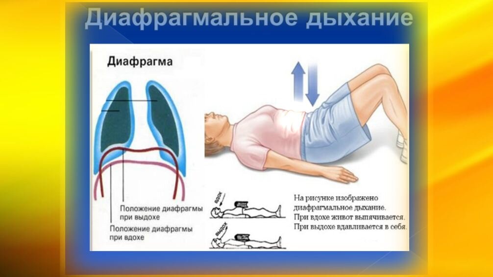 Диафрагмальное дыхание сидя на стуле