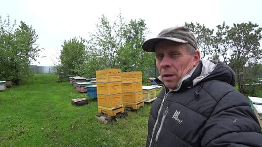Пасека владимира рябухина