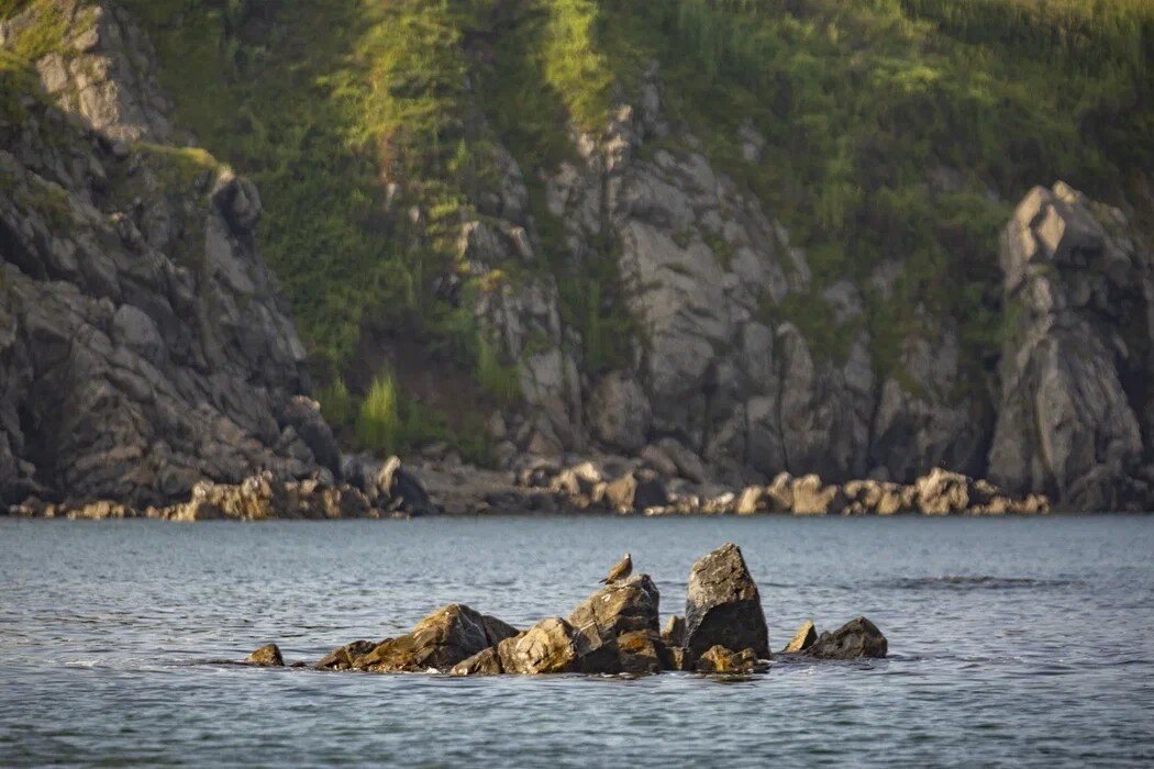 Фото: Андрей Михайлов