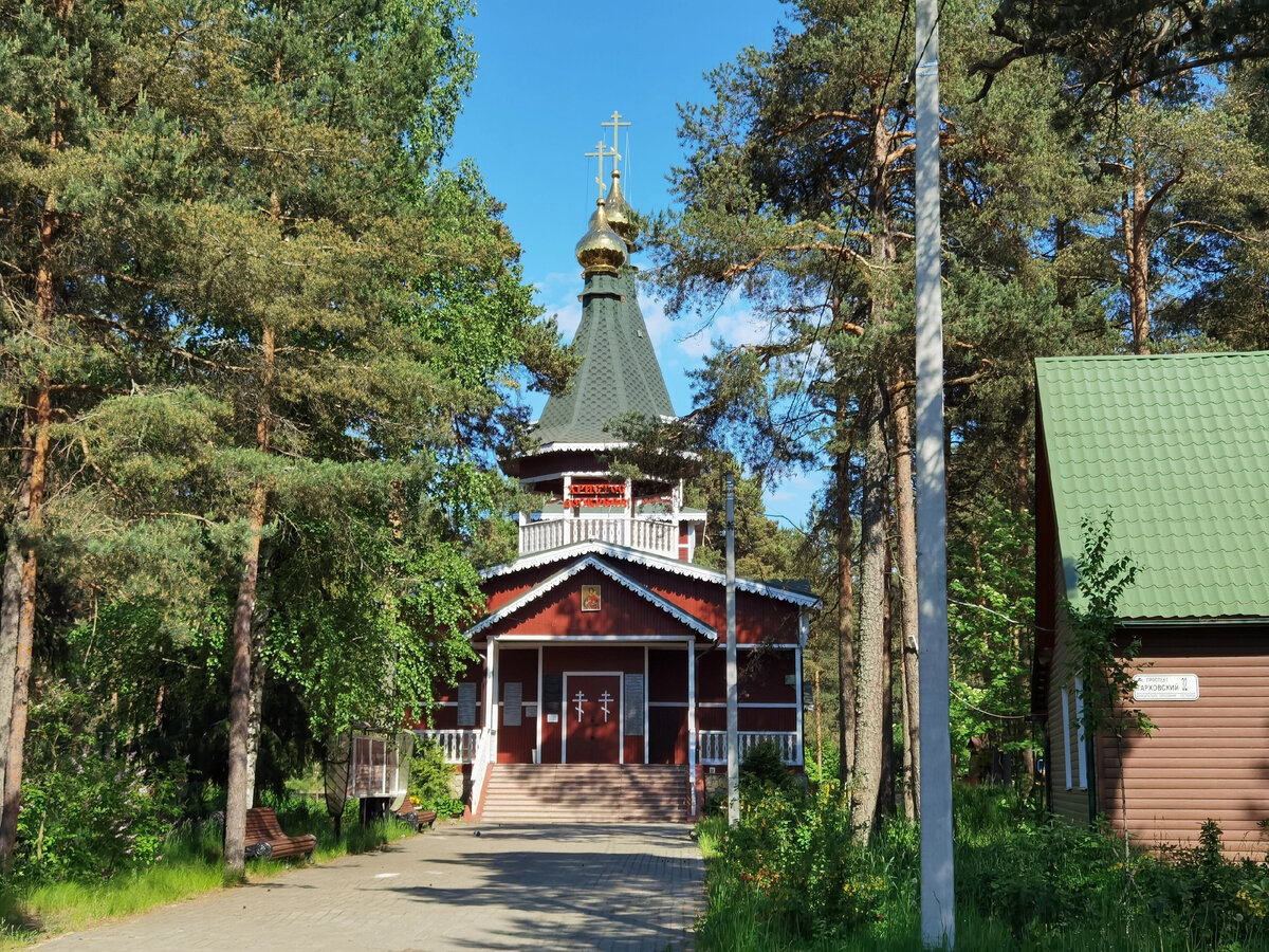 Гид по архитектуре - Горская, Александровская, Тарховка (Курортный район  Санкт-Петербурга). ТОП 35+ архитектурных решений | Олег Еверзов | Дзен