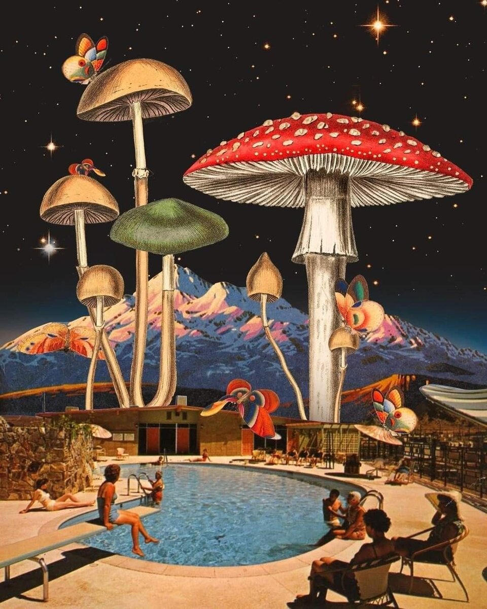 Progressive Rock. Mellotron. Royal's Title: USA or UK?