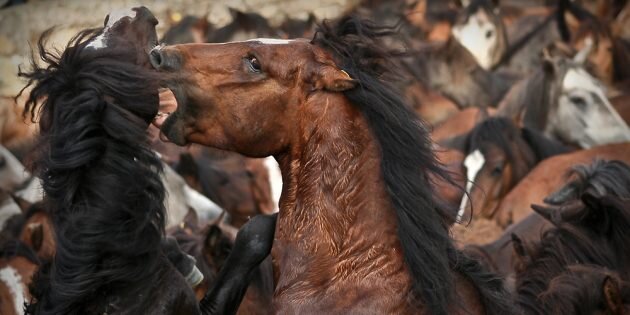 Изображение: Dani_vr / Wikimedia Commons📷
