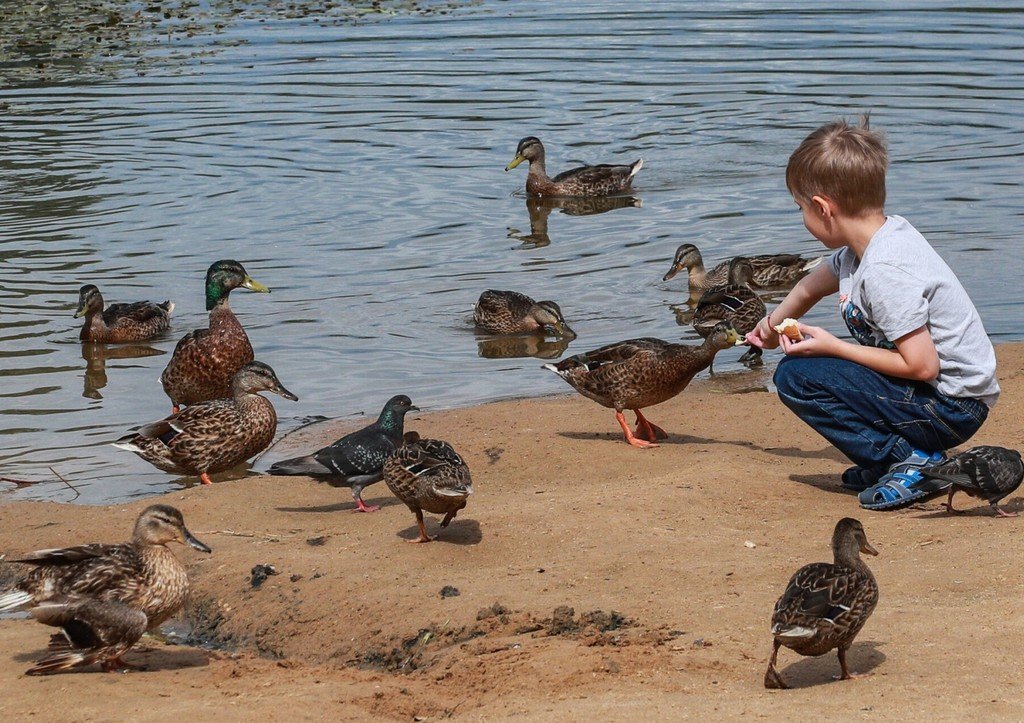 Фото: Сергей Булкин/NEWS.ru