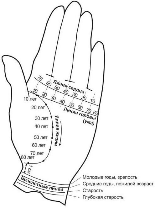 Как определить продолжительность жизни по руке в хиромантии