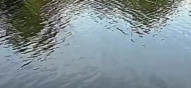 Рыбалка на поплавочные удочки