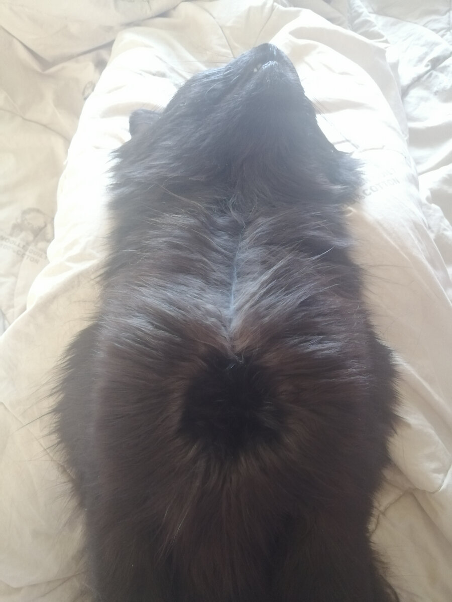 СТРАННОЕ ЧТО ТО 🤷‍♀️