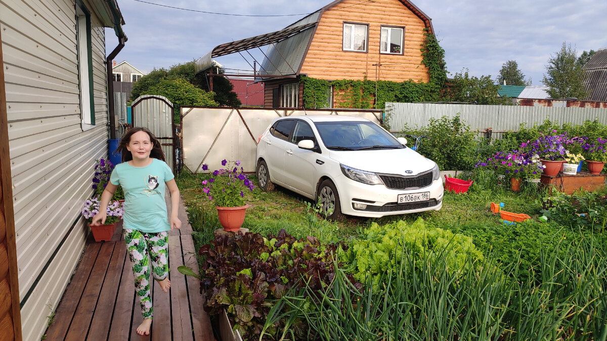 Это мы у родственников, а съёмная дача напротив: двухэтажная с навесом