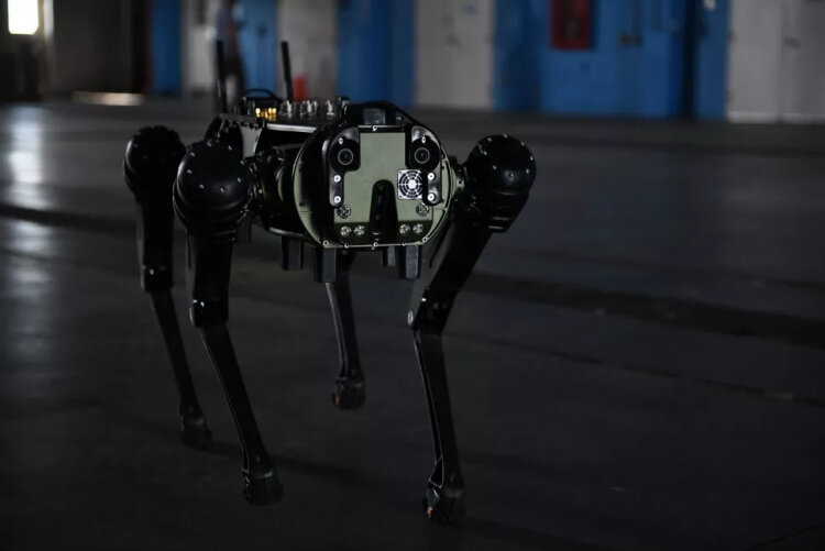 Робособака от компании Ghost Robotics, модель Vision 60