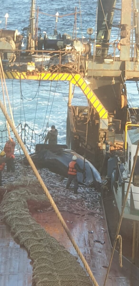 Иллюстрации, чтоб задать атмосферу. От капитана Рзаева Олега который выпустился из МВИМУ в 1983 году, на шесть лет раньше моего потока.