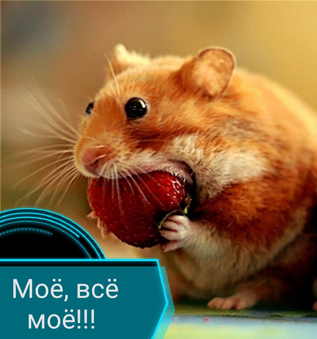 Естественно, сохраняем активы