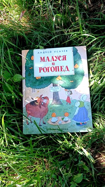 Отзыв о книге 