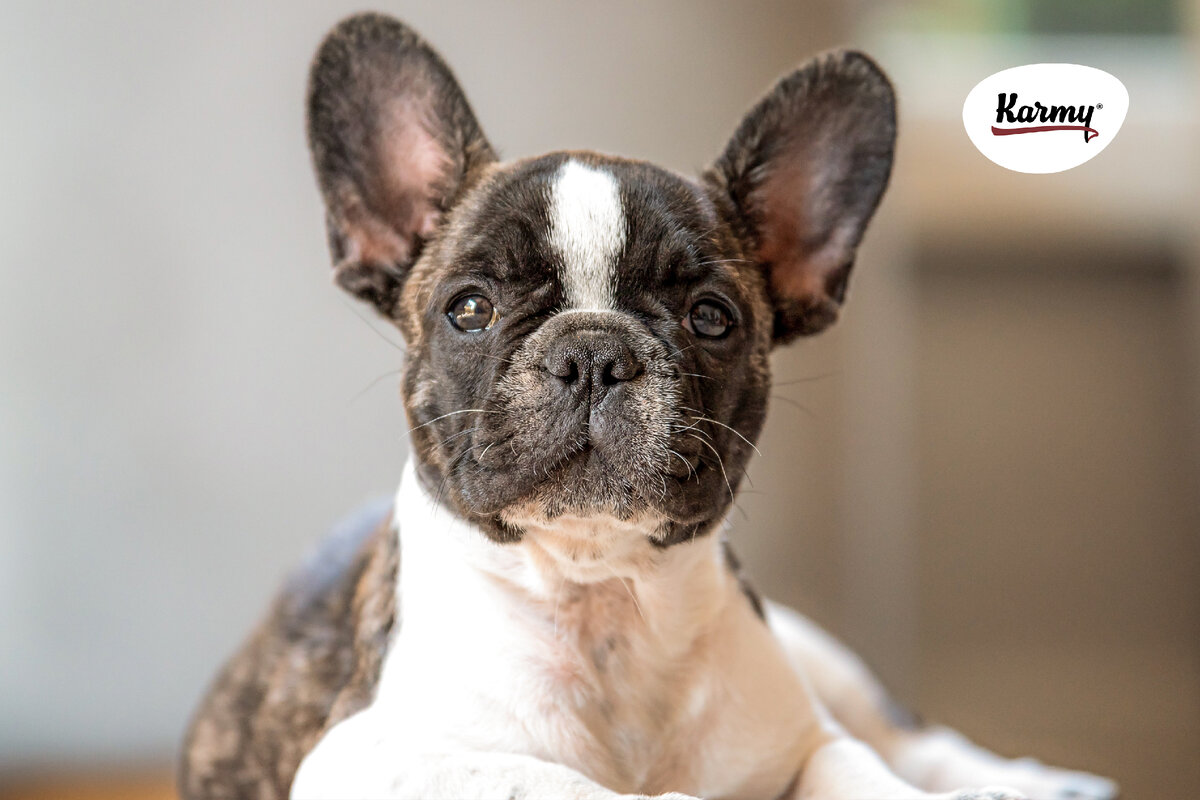 Авторское изображение с использованием картинки с фотостока "Unsplash"