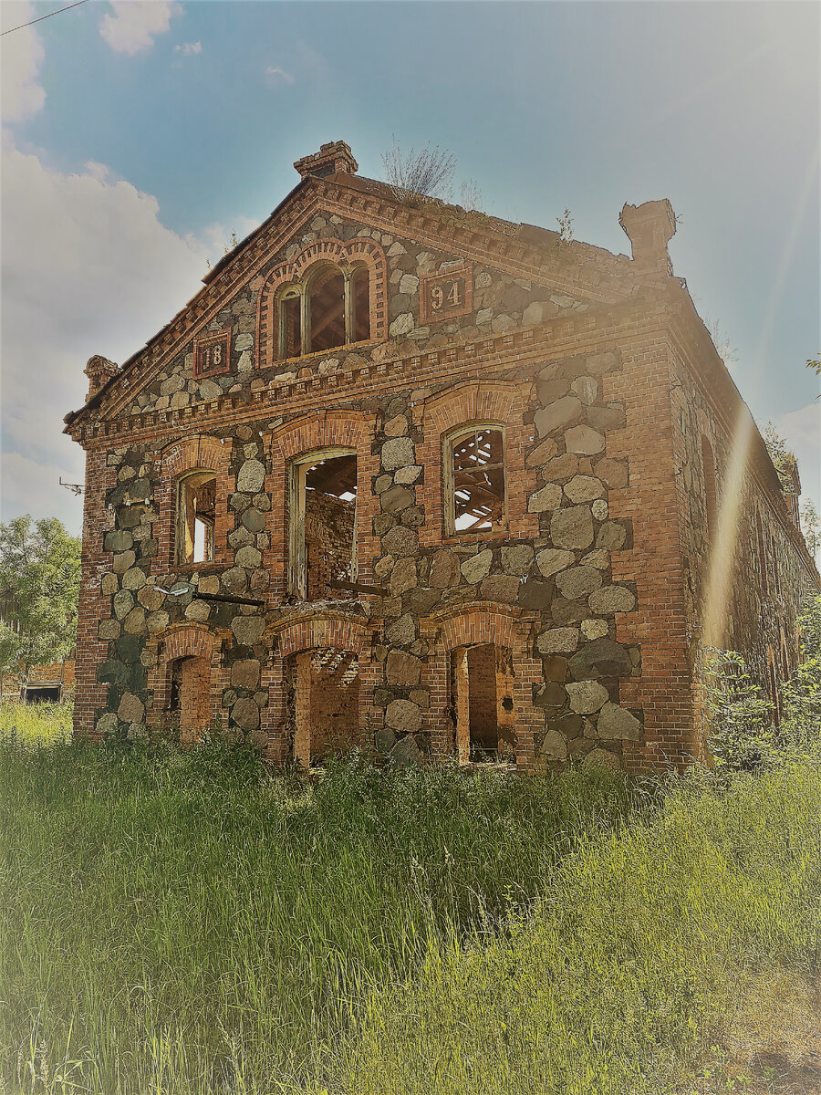 Лето - прекрасное обрамление руинам.