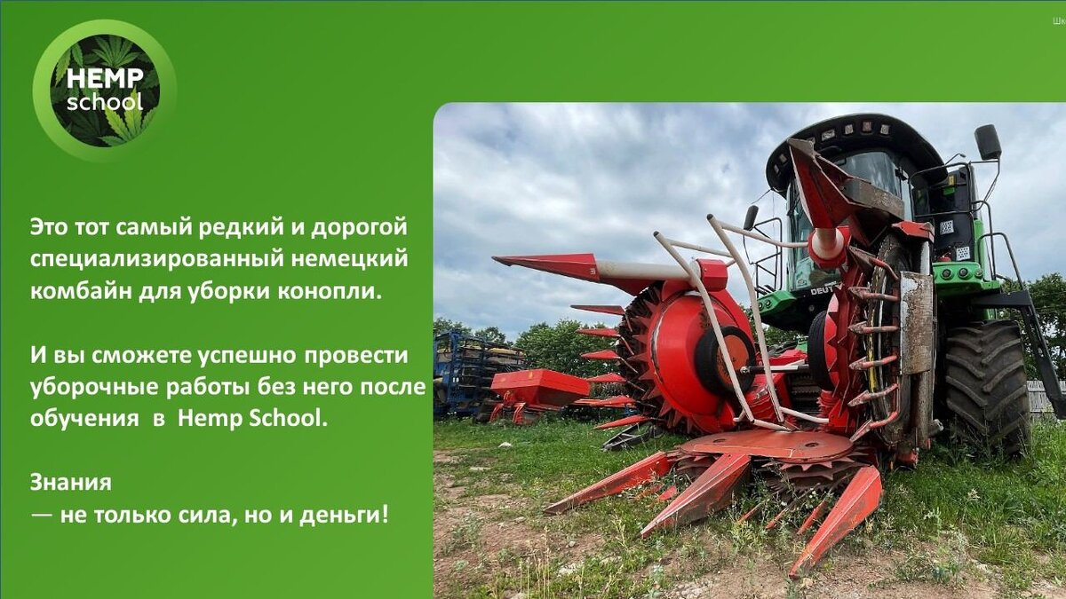 Картинка предоставлена HempSchool