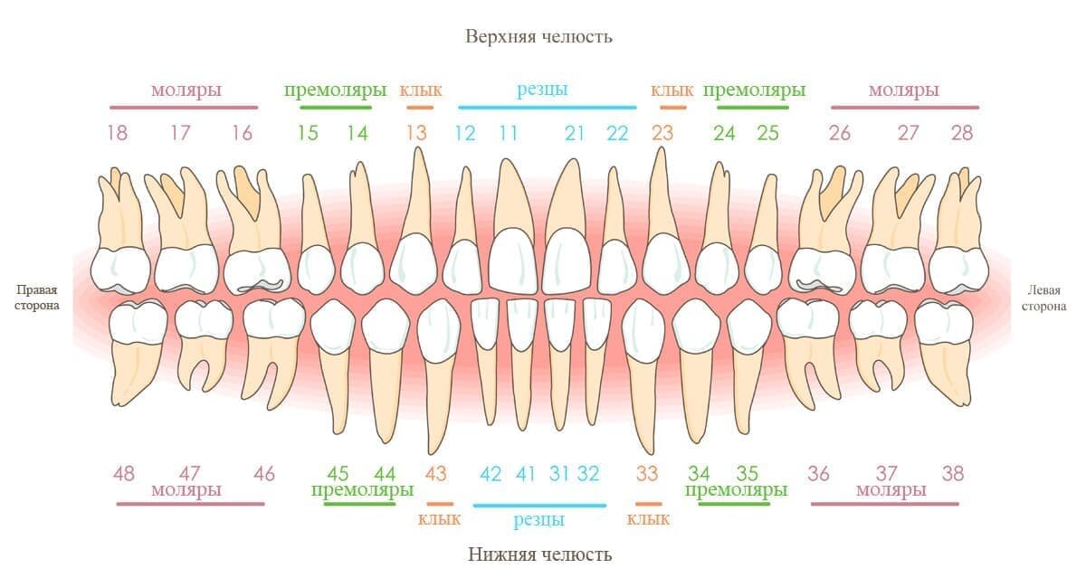 Вредно ли удаление зубного нерва