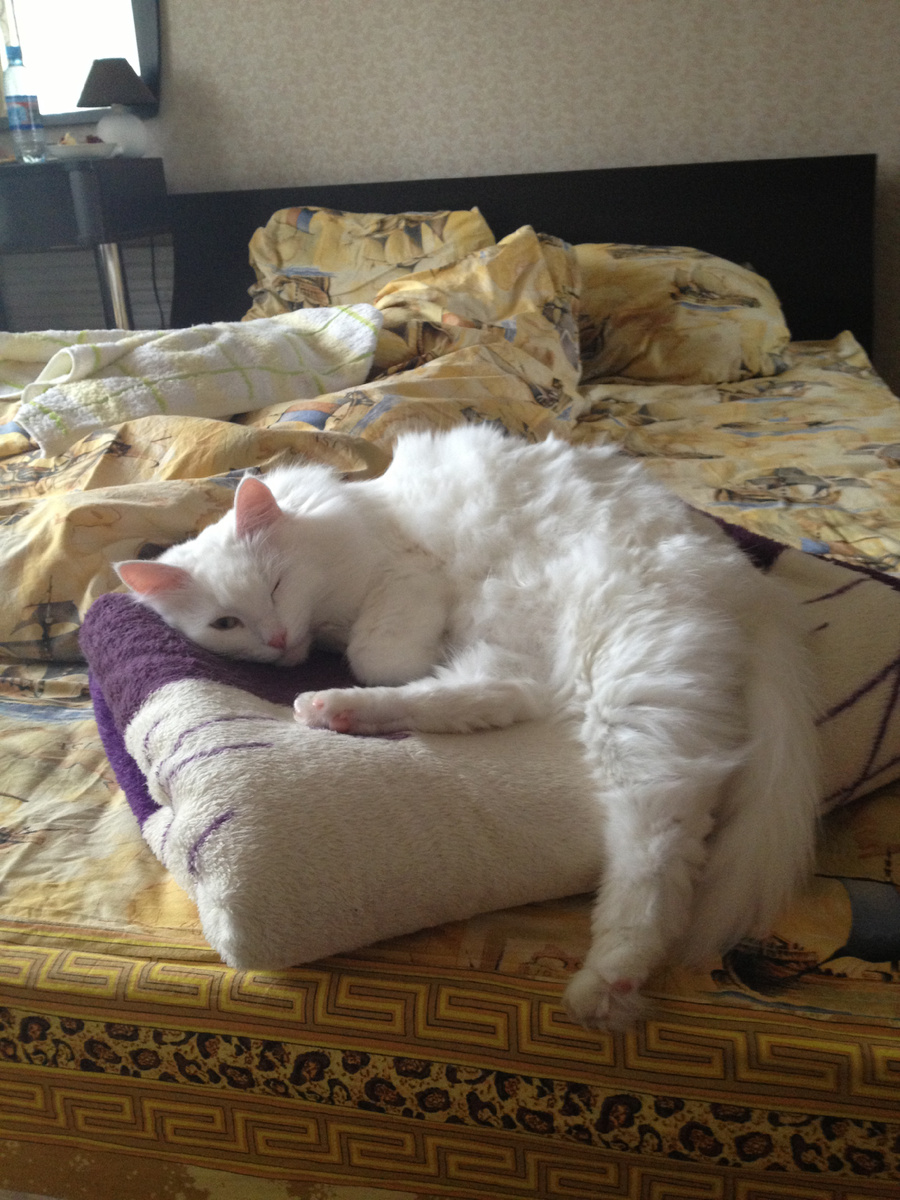 1️⃣ Выбрасываю все мысли из головы! Подумать о будущих делах я могу и в рабочие дни. А в выходные можно помечтать. В общем, даю мозгу отдохнуть💭