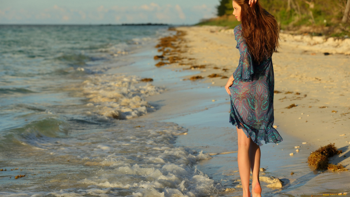 Источник фото: яндекс картинки