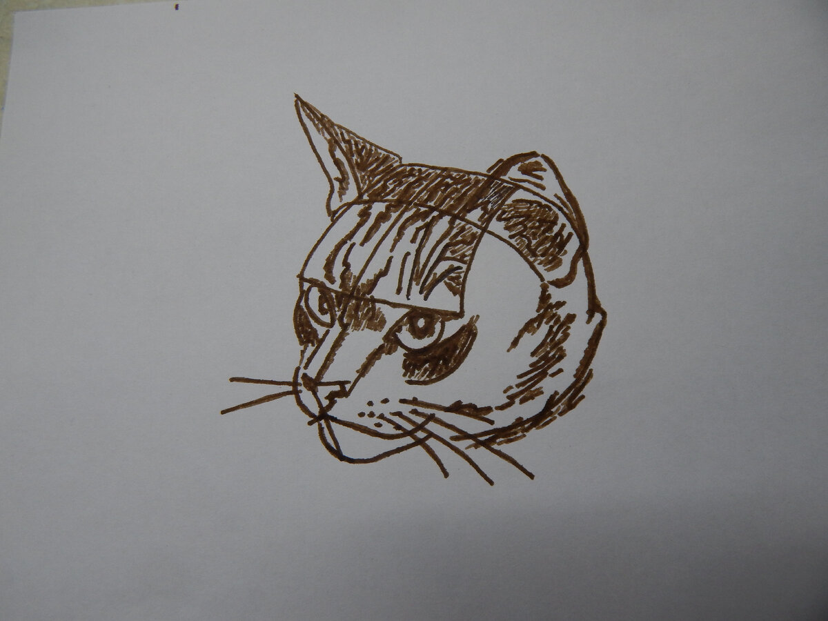 Рисуем мордочку кошки | Тяп Ляп | Дзен