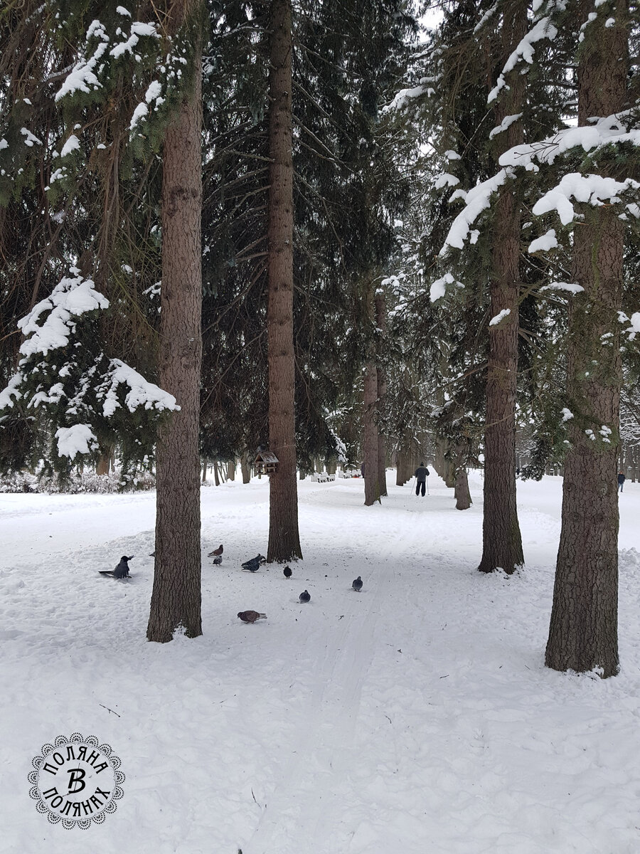 Это современное фото из парка, я тут только зритель