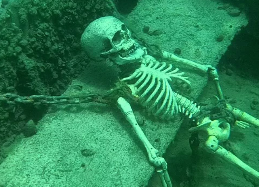 Источник: Яндекс-Картинки