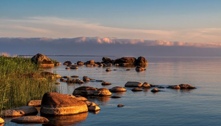 Фото: из открытых источников