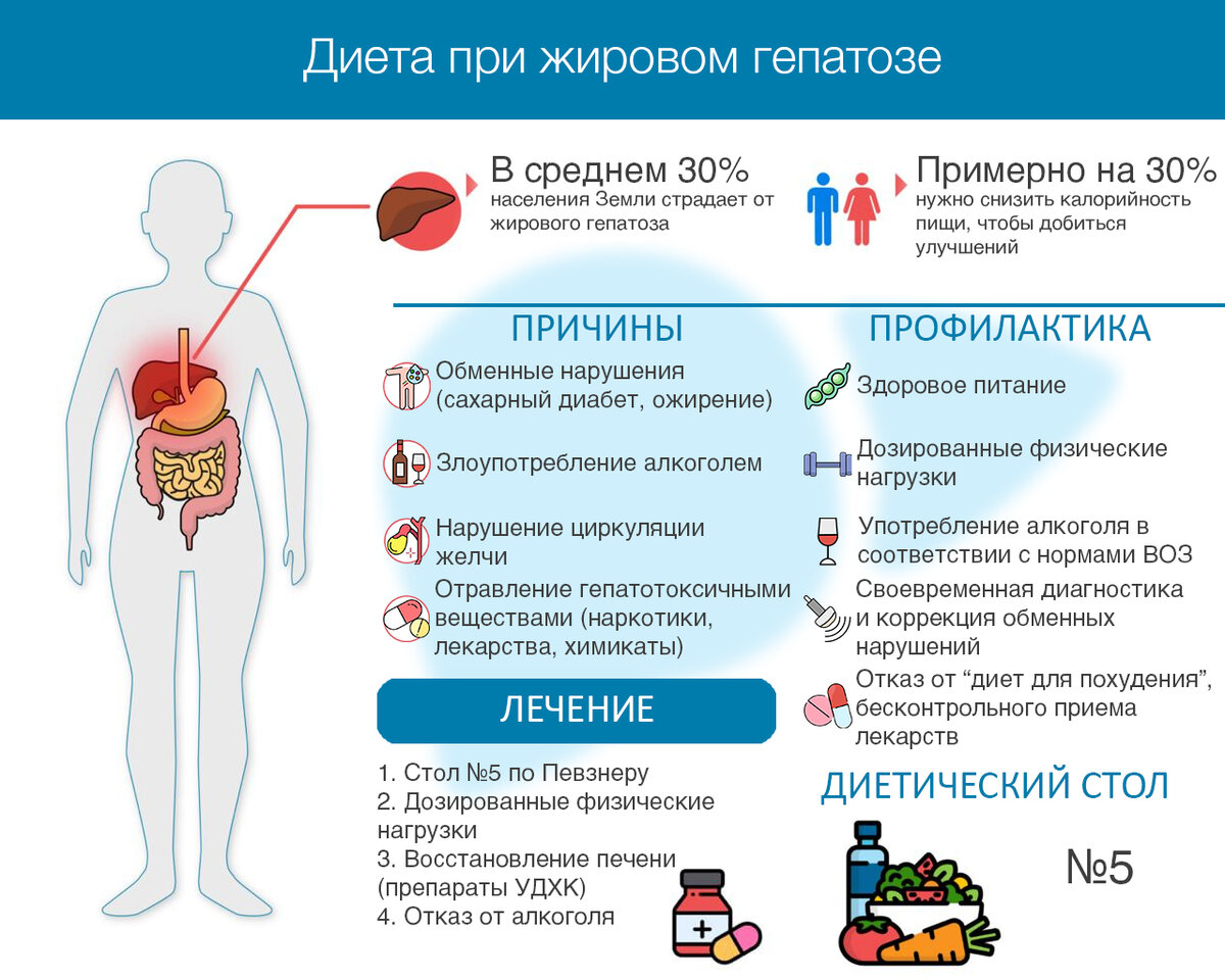 Эффективное лечение жирового гепатоза печени