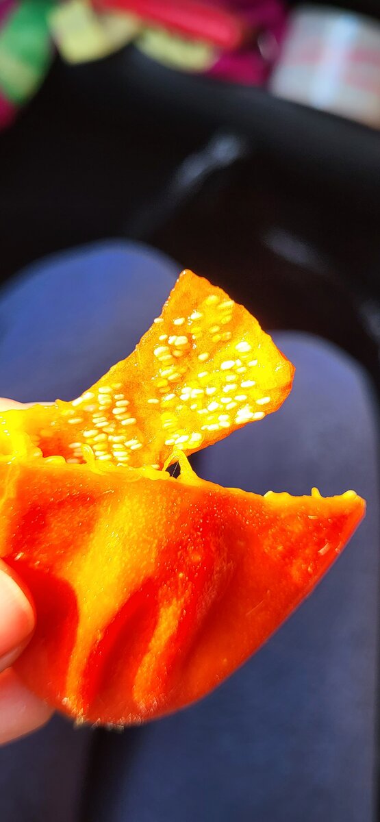 На шкурке какие-то штучки белые