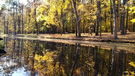 Любимое время года 🍂🍁🍃