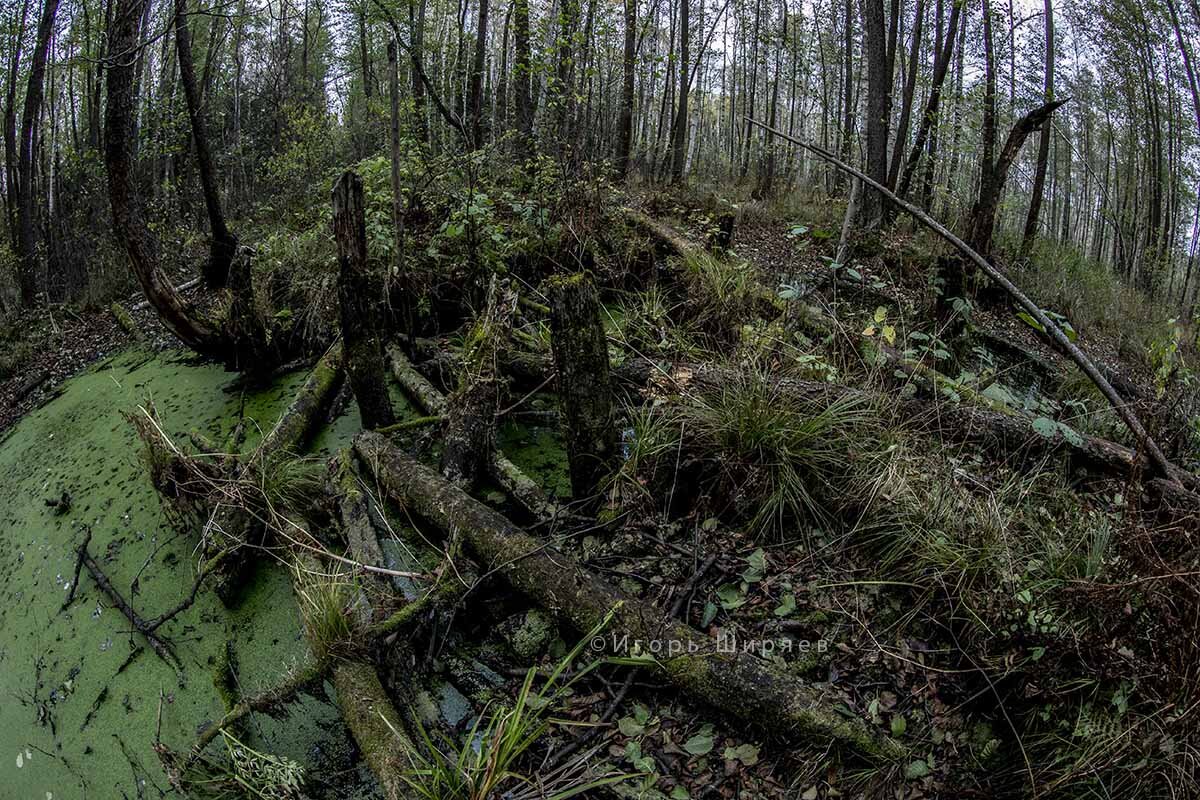 Там действительно такие места, подтверждаю (изображение из открытых источников)